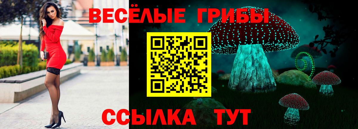 Галлюциногенные грибы Magic Shrooms  Галлюциногенные грибы мицелий  Вход с VPN  Копейск 